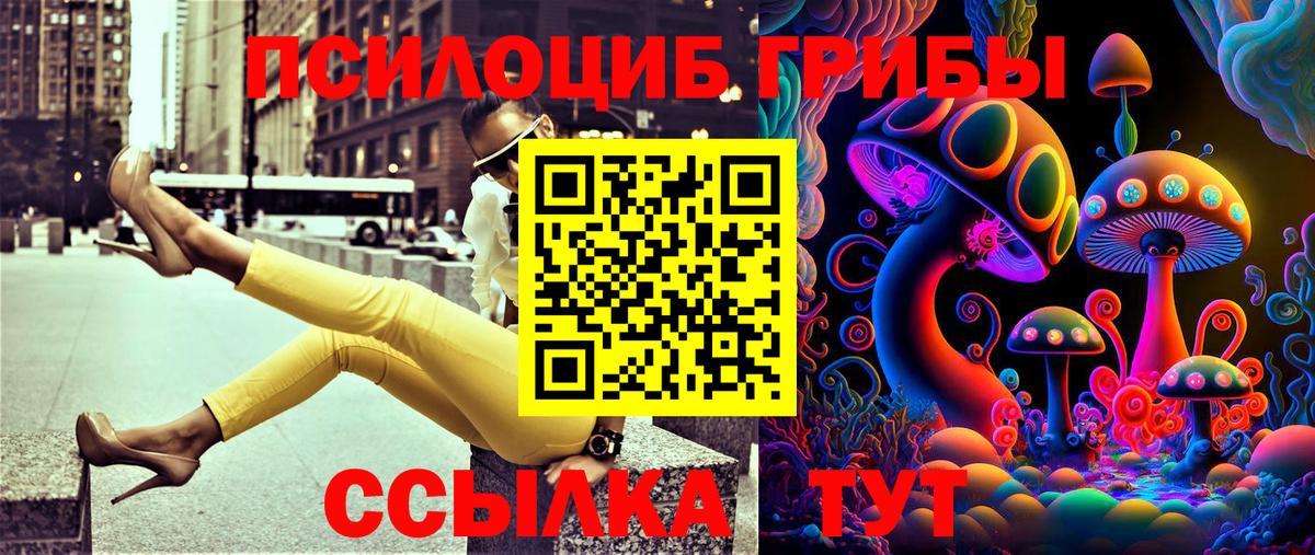 Галлюциногенные грибы Psilocybe  Псилоцибиновые грибы MAGIC MUSHROOMS  Вход с VPN  Орехово-Зуево 