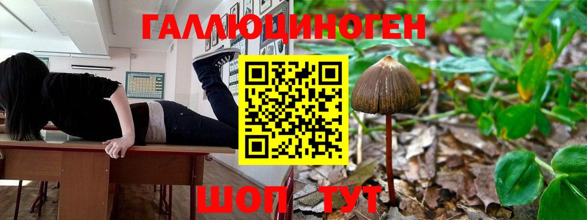 Псилоцибиновые грибы ЛСД Орехово-Зуево