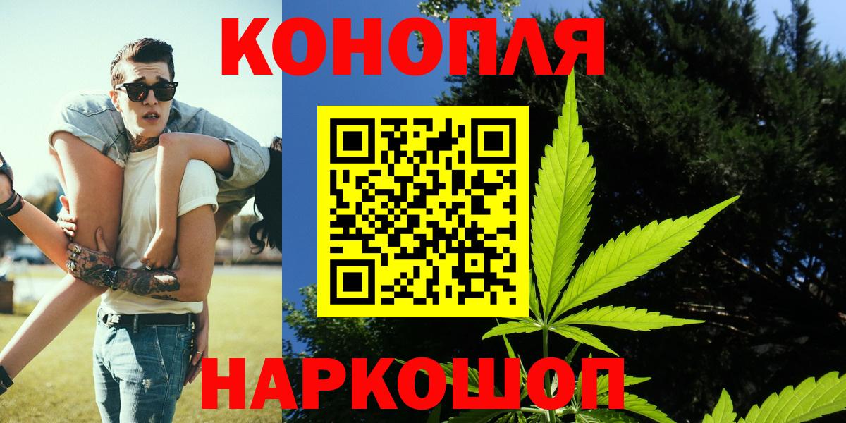 Конопля сатива Орехово-Зуево